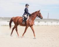 Rider on Peanut